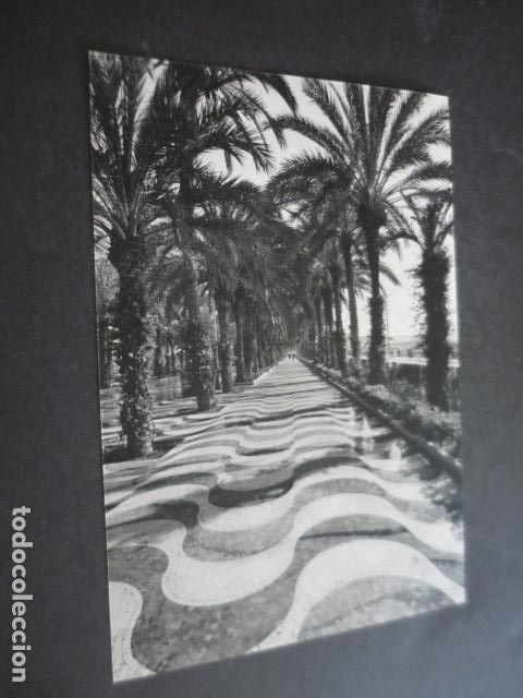 Collectionnisme: ALICANTE ANTIGUA LAMINA 16 X 22 CM