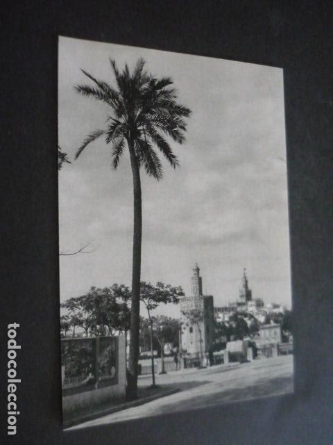 Coleccionismo: SEVILLA ANTIGUA LAMINA 16 X 22 CM