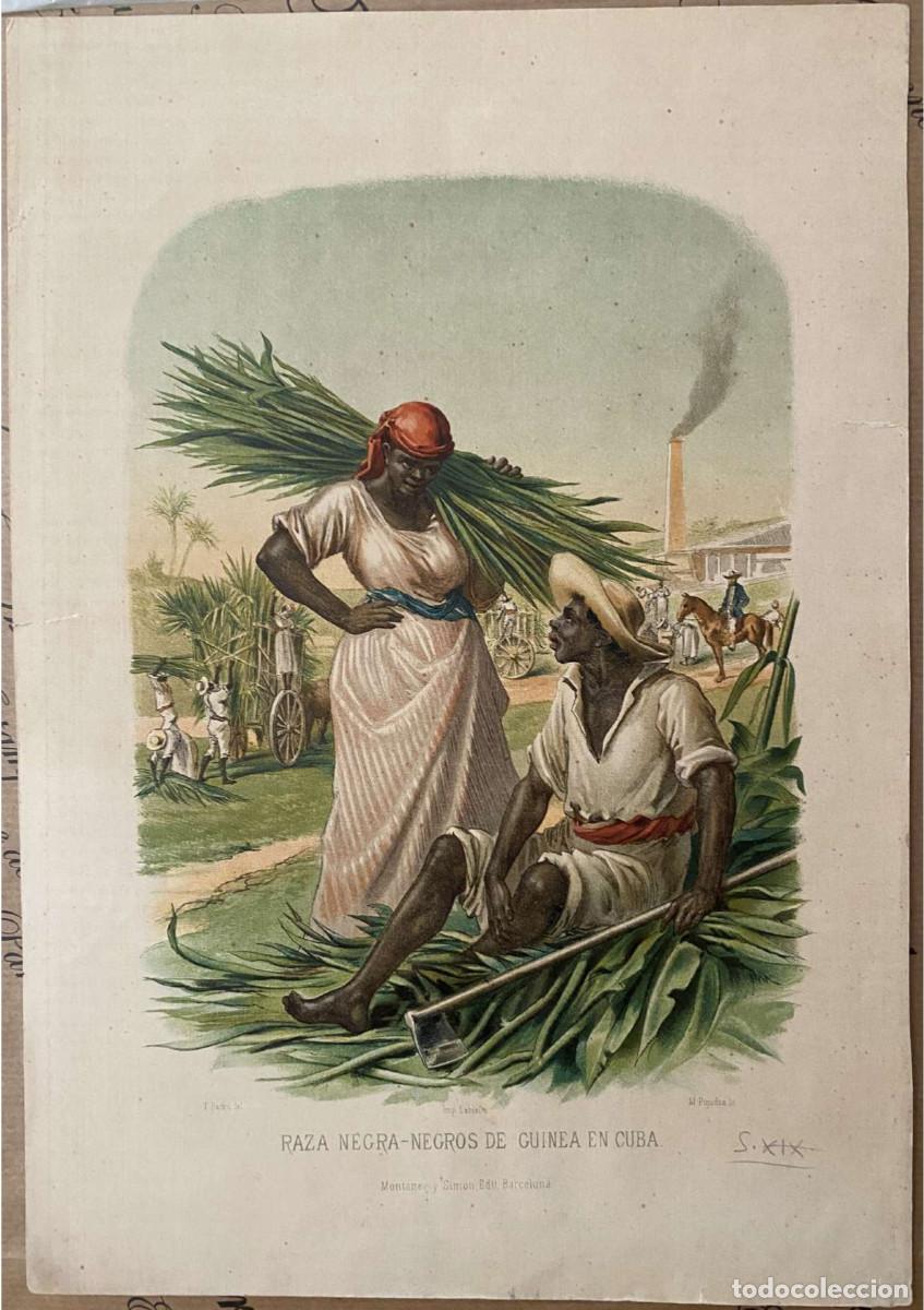 Coleccionismo: Cuba. Raza negra. Negros de Guinea. Siglo XIX. Montaner y Sim&oacute;n.