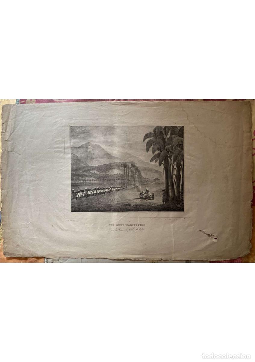 Coleccionismo: Cuba. Escena de trabajo esclavo. Hipolyte Garneray. Habana. 1820s.