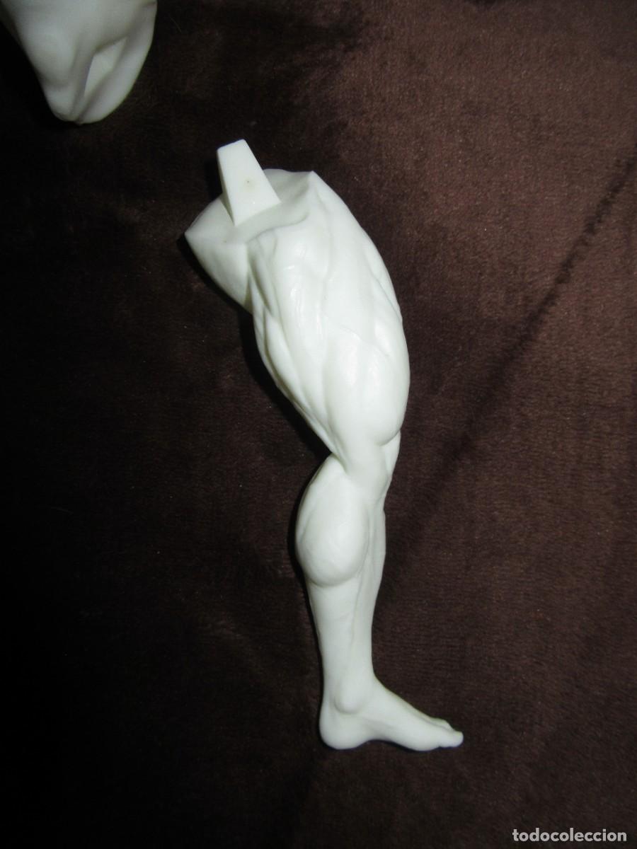 Coleccionismo: figura resina de ronnie colemann - Foto 5