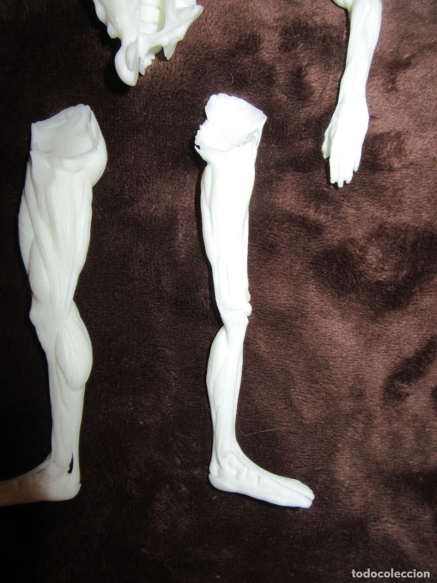 Coleccionismo: Figura impresa 3D en resina - Foto 3