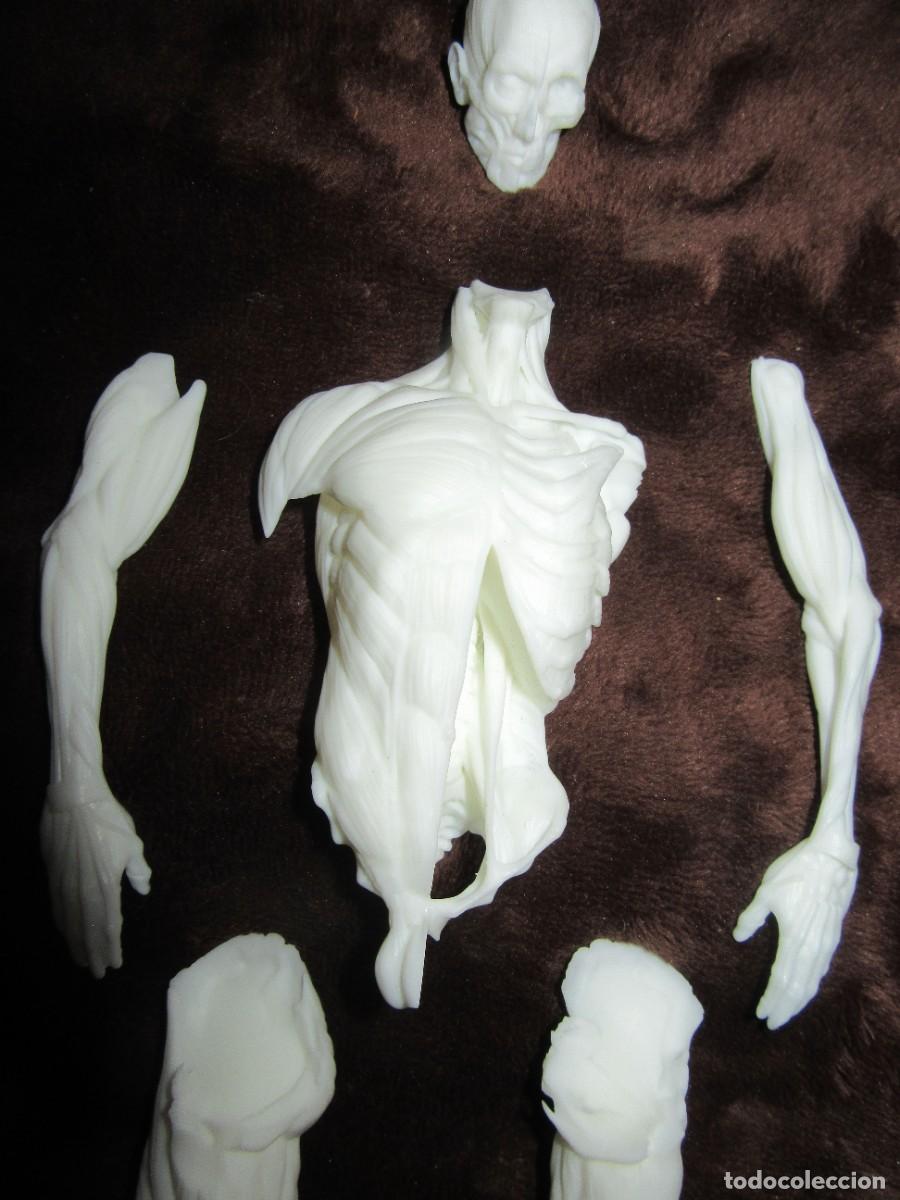 Coleccionismo: Figura impresa 3D en resina - Foto 6