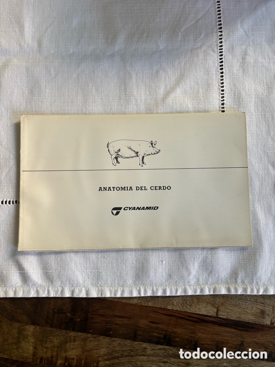 Coleccionismo: Anatom&iacute;a del cerdo. 6 L&aacute;minas.