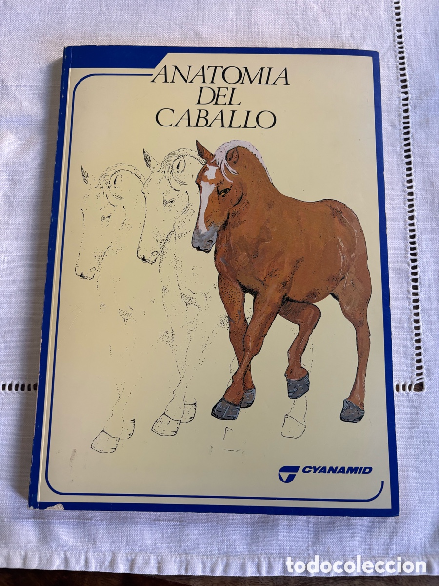 Coleccionismo: Anatom&iacute;a del caballo. 34 l&aacute;minas.