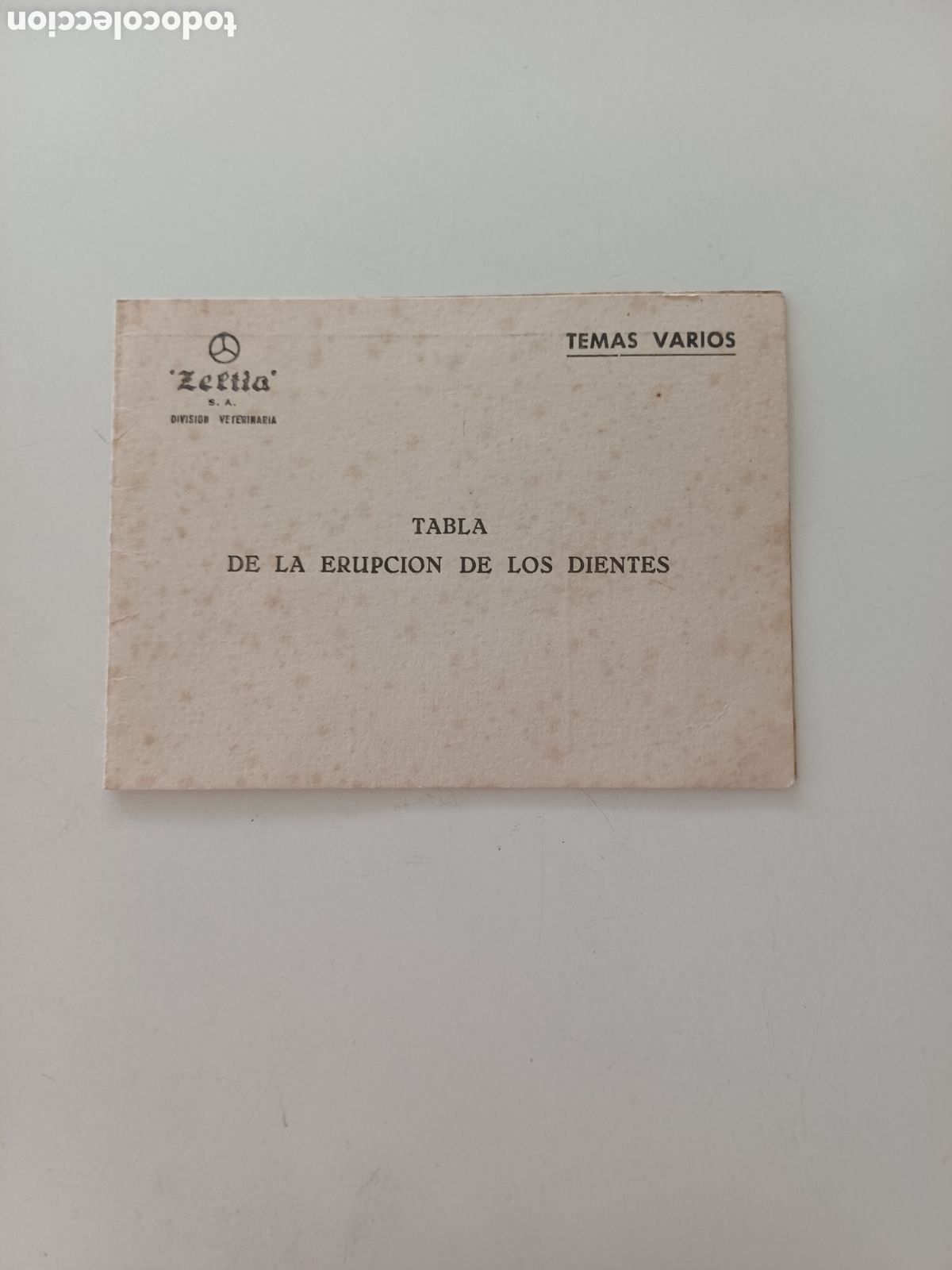 Sammelleidenschaft Papier: Tabla de la erupciones de los dientes desplegable a&ntilde;os 60 VETERINARIA