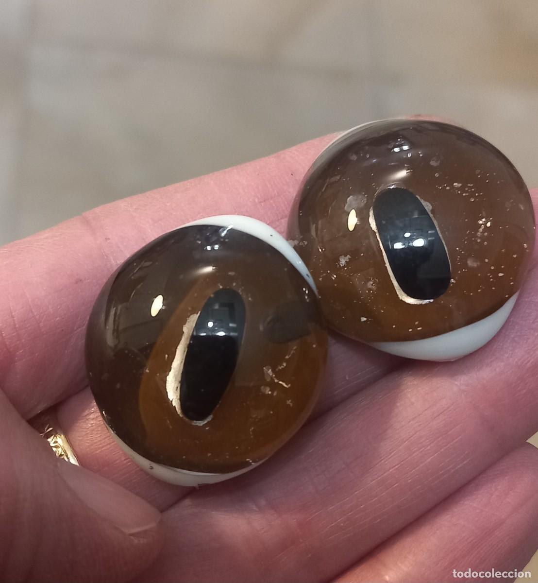 Coleccionismo: OJOS PARA TAXIDERMIA - Foto 2