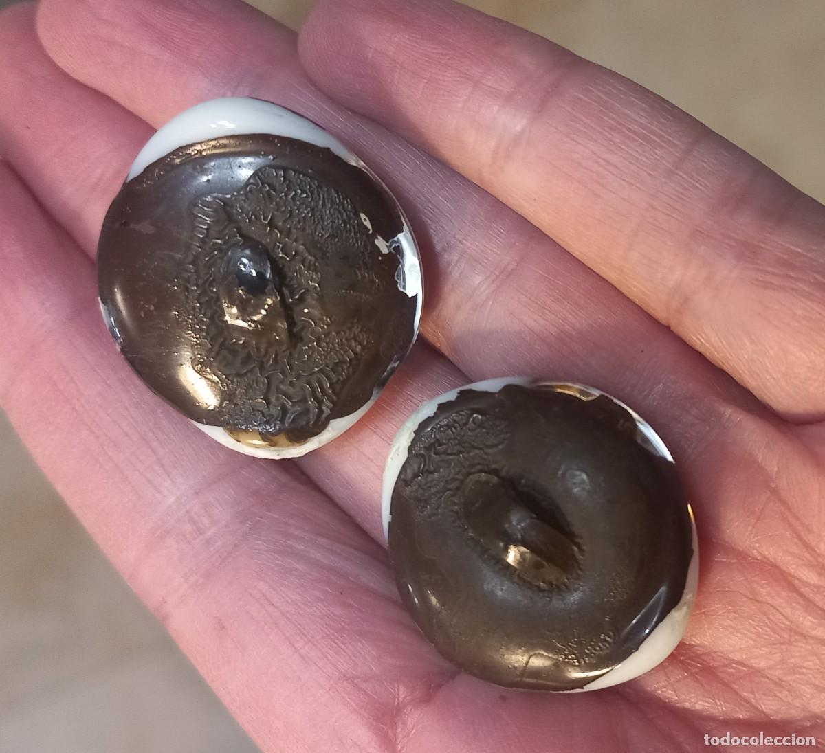Coleccionismo: OJOS PARA TAXIDERMIA - Foto 3