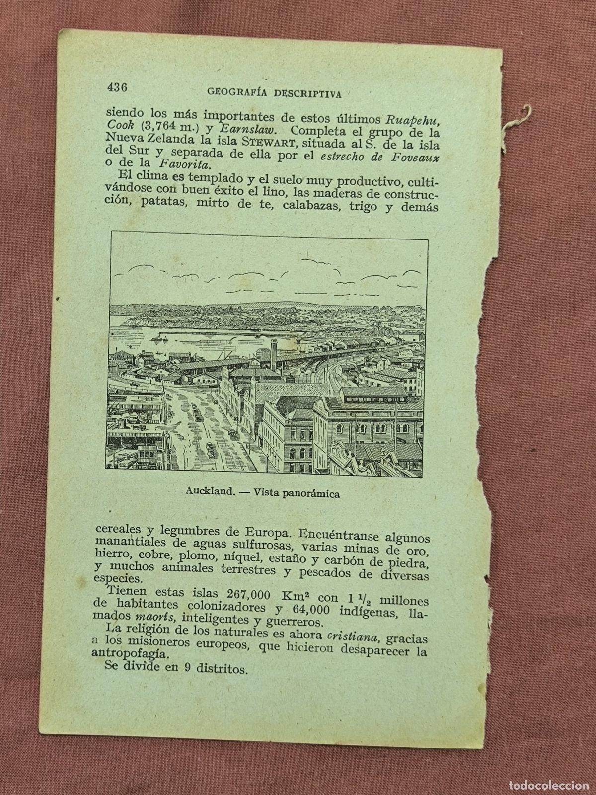 Sammelleidenschaft Papier: Antiguo Grabado Nueva Zelanda Auckland &ndash; Vista Panor&aacute;mica de Coleccionismo