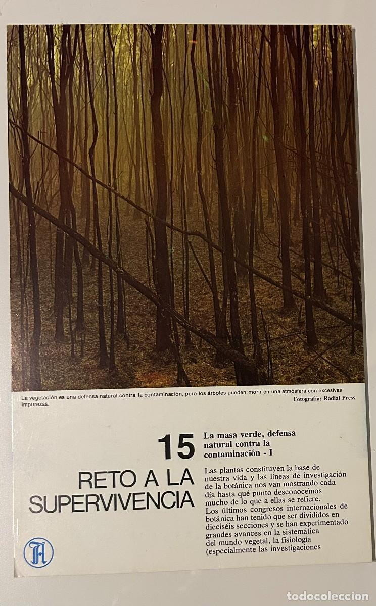Collecting paper: RETO A LA SUPERVIVENCIA #15 1974 - LA MASA VERDE DEFENSA NATURAL CONTRA LA CONTAMINACI&Oacute;N 1