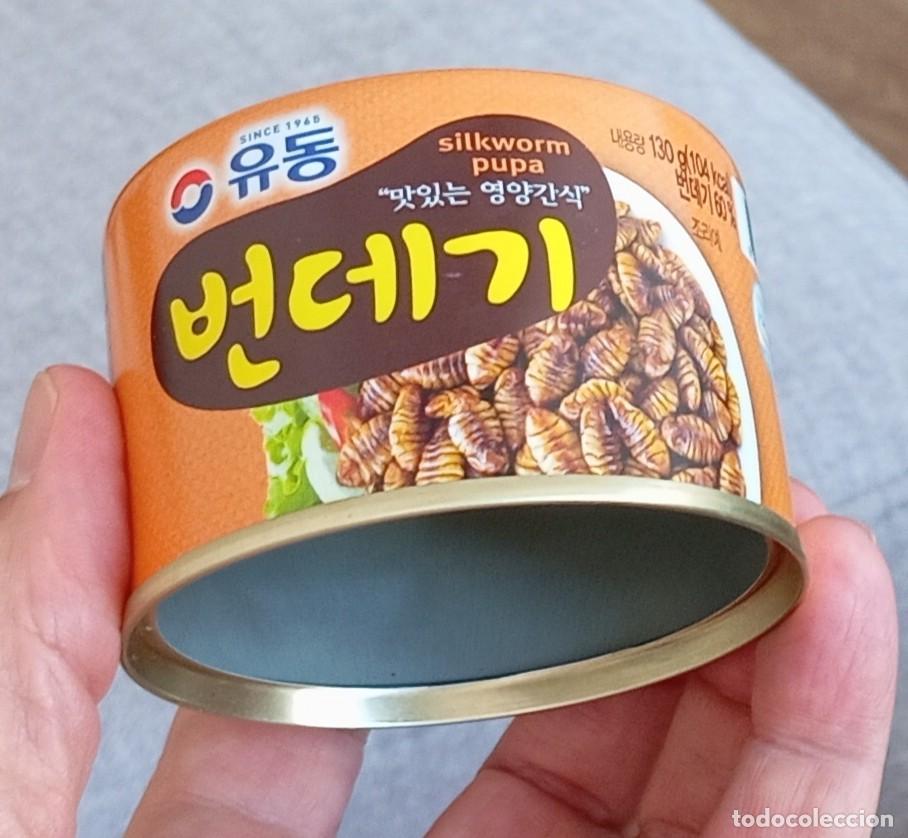 Coleccionismo: LATA CONSERVA VAC&Iacute;A INSECTOS PUPAS LARVAS GUSANOS DE SEDA. Corea del Sur.