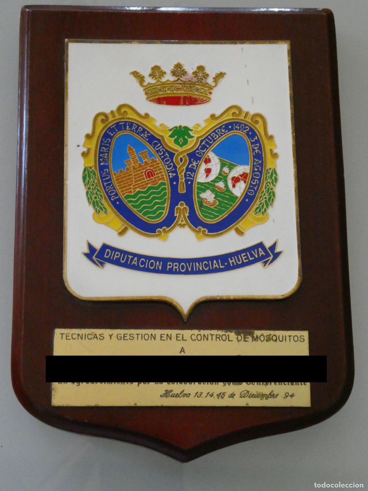 Coleccionismo: METOPA CUADRO DIPUTACI&Oacute;N PROVINCIAL HUELVA A&Ntilde;O 1994. T&Eacute;CNICAS CONTROL MOSQUITOS. 19X13CM 370GR
