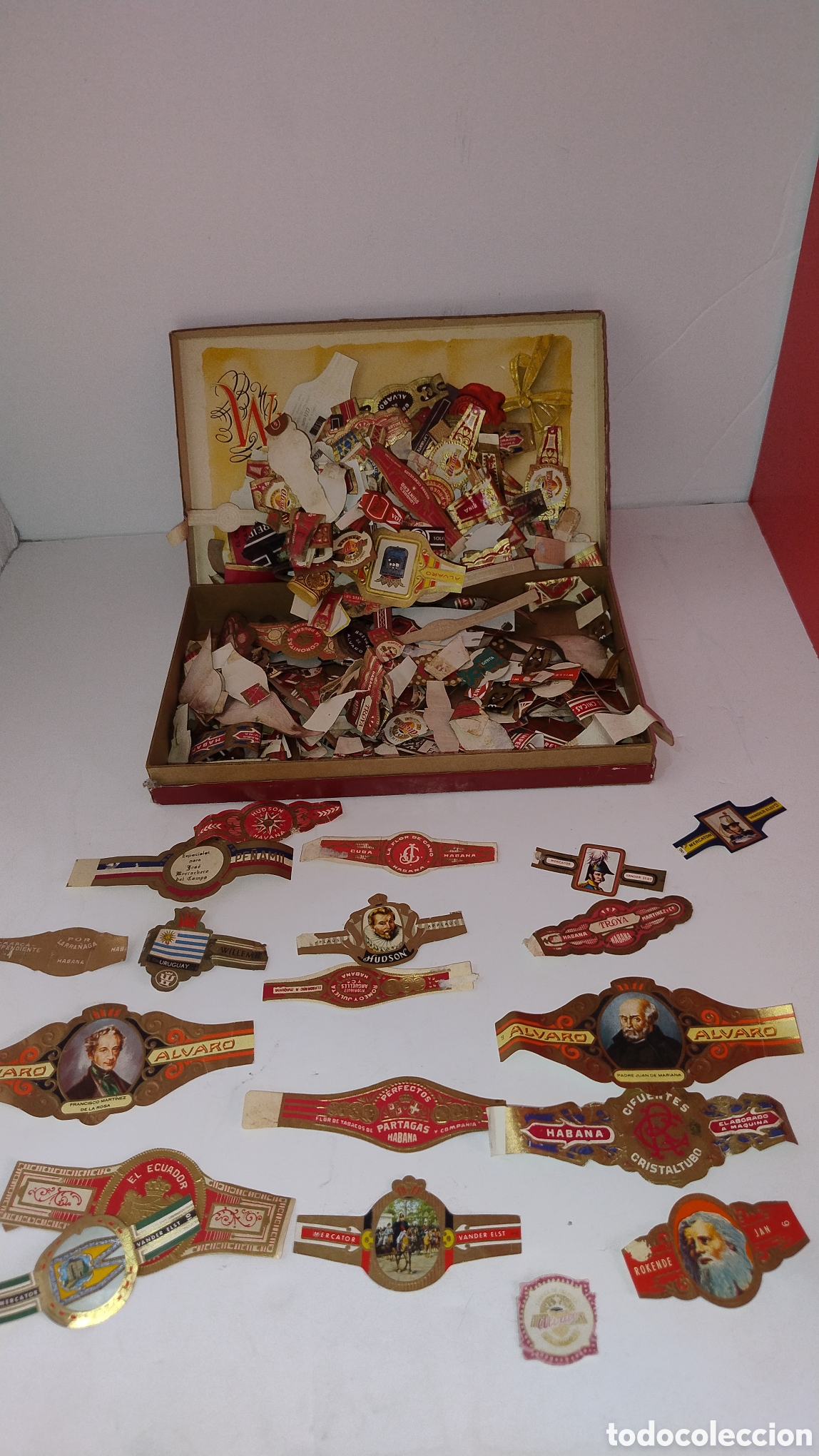 Coleccionismo: Vitolas y caja history Willem II
