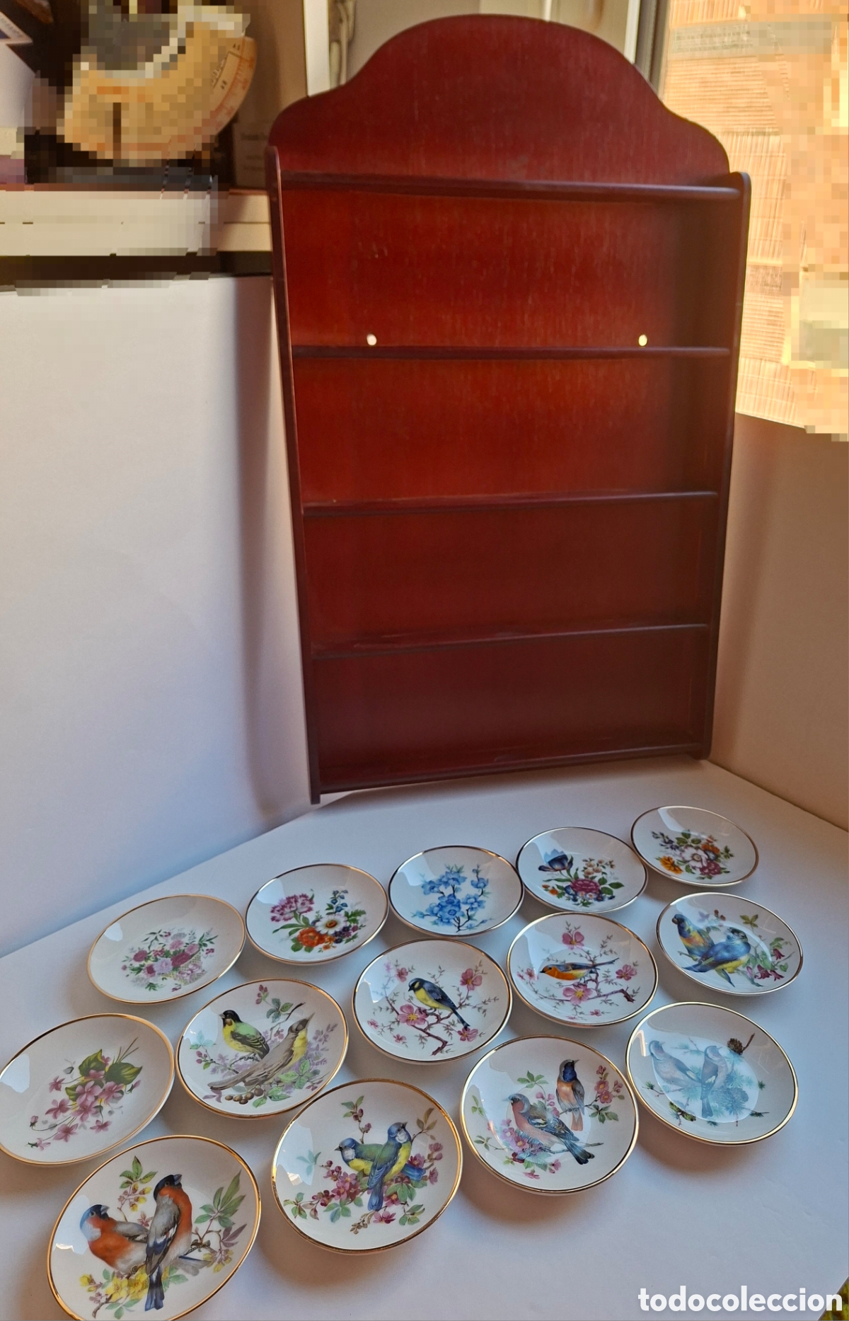 Collectionnisme: Colecci&oacute;n platitos Esta nueva colecci&oacute;n es la famosa &rdquo;P&aacute;jaros Cantores del Mundo&rdquo; con estanteria
