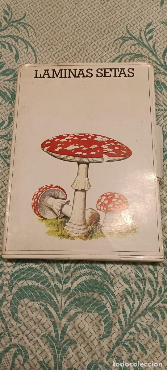 Coleccionismo: COLECCI&Oacute;N COMPLETA 50 L&Aacute;MINAS BOT&Aacute;NICAS DE SETAS Y HONGOS + CARPETA Y FOLLETO - LABORATORIO EMYFAR (