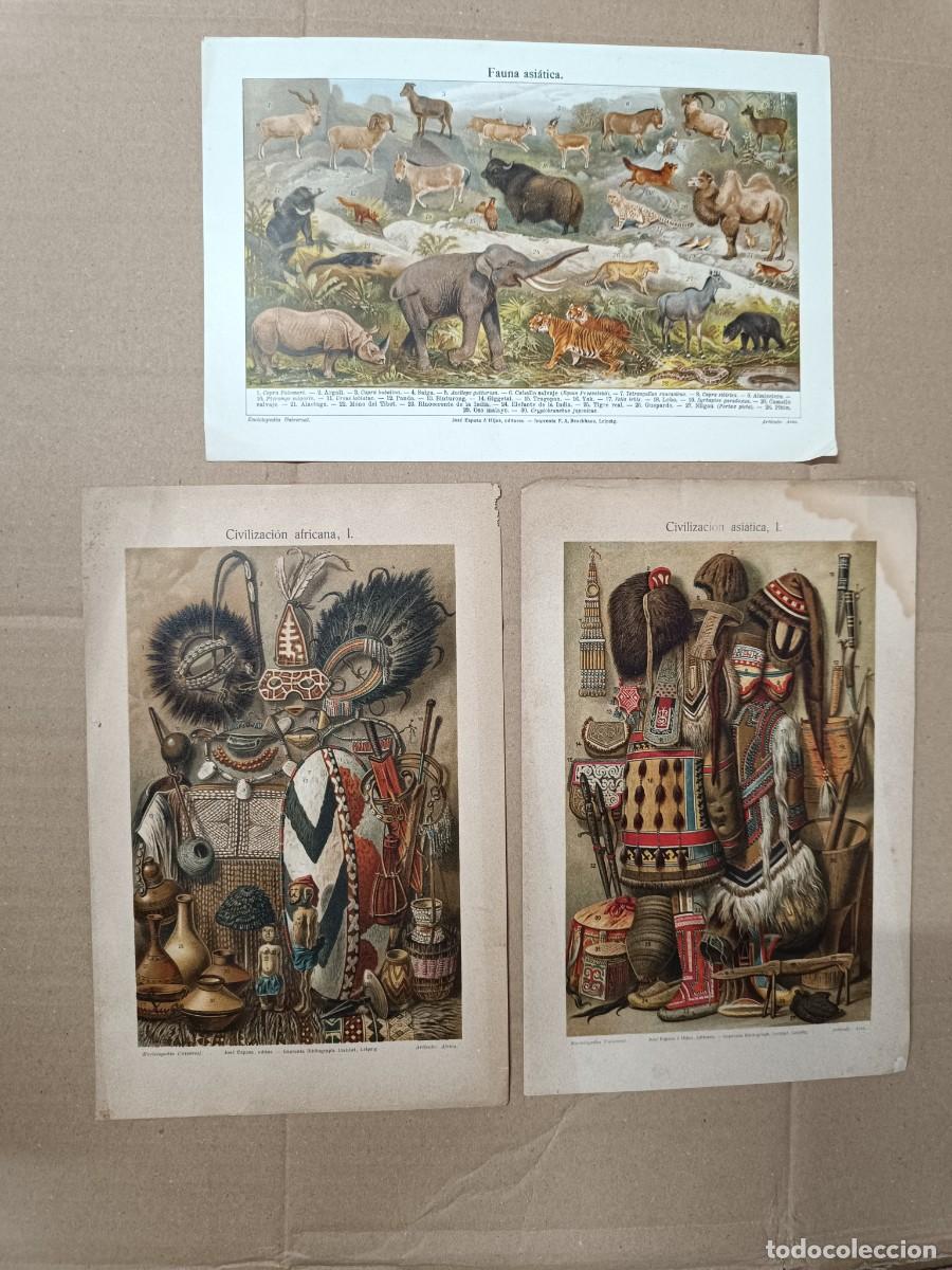 Coleccionismo: LOTE 3 ANTIGUAS LAMINAS, CIVILIZACION AFRICANA, ASIATICA Y FAUNA ASIATICA. ETNICO -P28