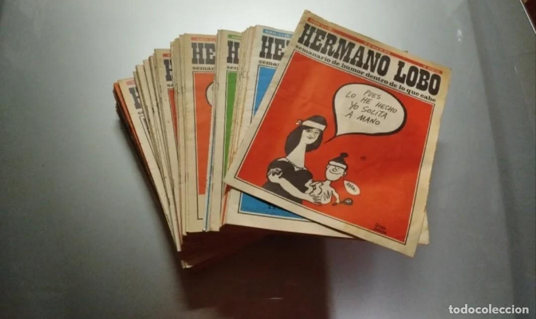 Coleccionismo: Lote 87 revistas Hermano Lobo