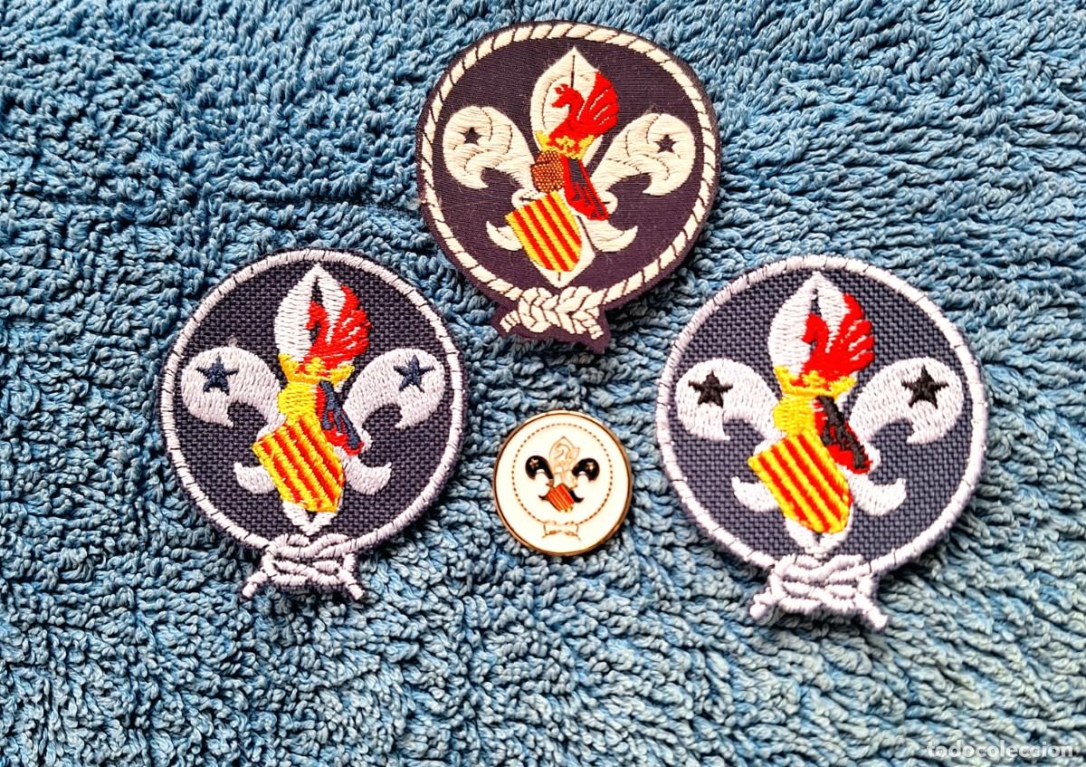 Collecting: ASDE/SCOUTS VALENCIANS. 3 PROMESAS DE 1988(36 A&Ntilde;OS)Y SU PIN 2016