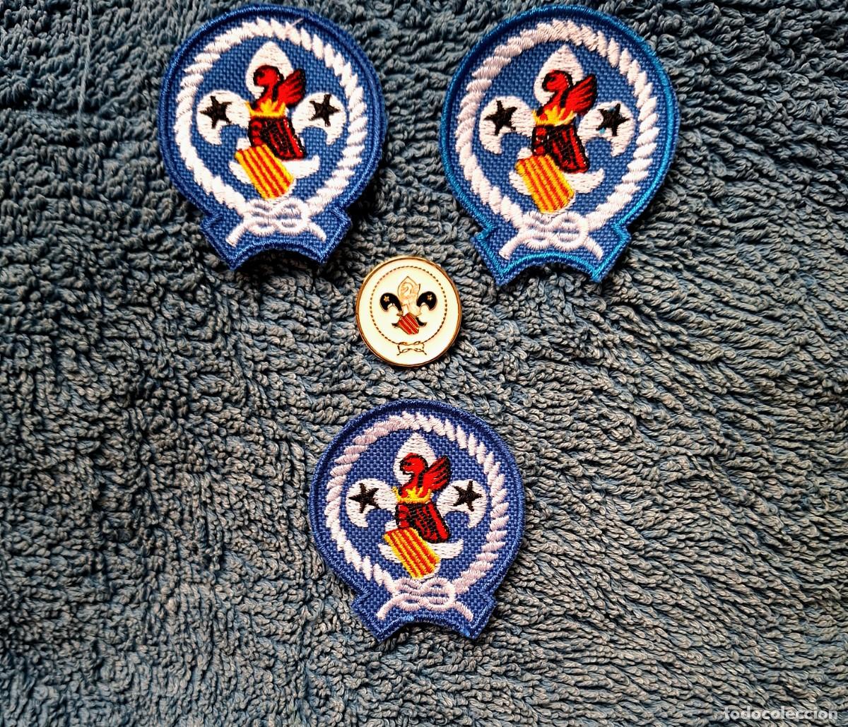 Coleccionismo: ASDE/SCOUTS VALENCIANS..3 PROMESAS 2007(19 A&Ntilde;OS).SCOUTS
