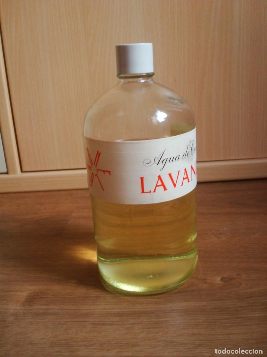 Coleccionismo: Agua de colonia Lavanda Bachs (botella 1 litro) Vintage