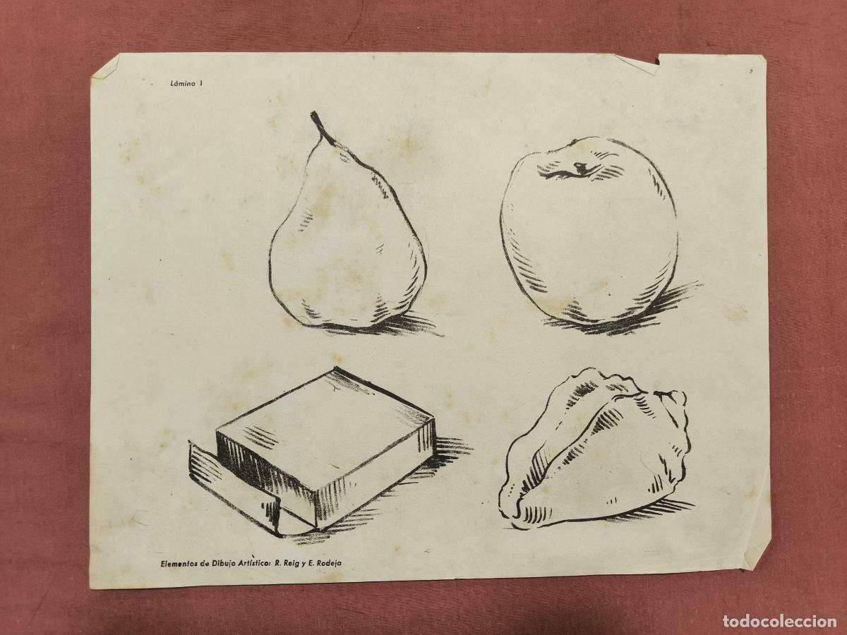 Coleccionismo: L&aacute;mina Dibujo Art&iacute;stico Selg y Bofarull &ndash; Pera Manzana y Caja Coleccionismo