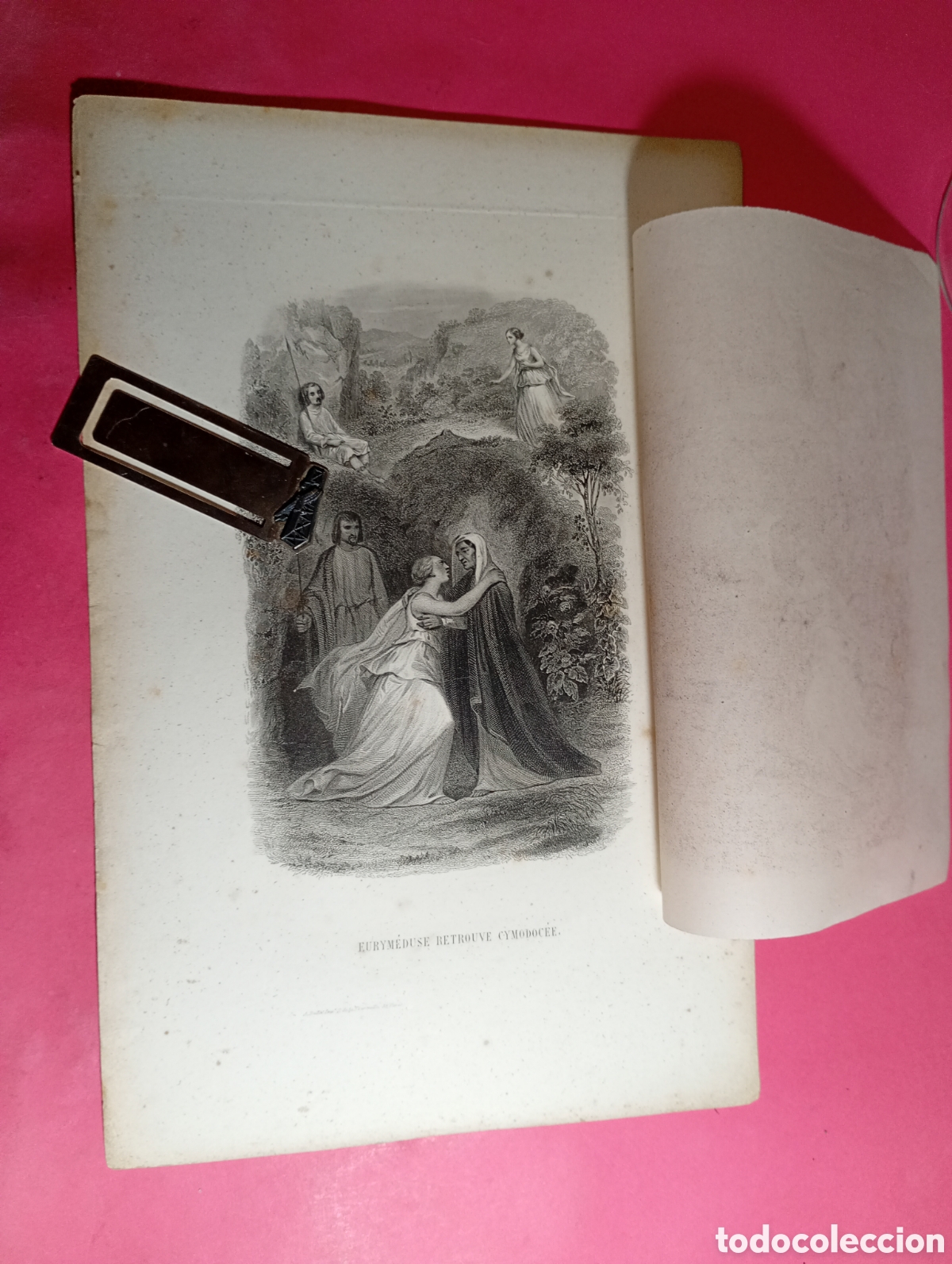 Coleccionismo: LAMINA B/N FIN XIX INICIO XX ''EURYMEDUSE RETROUVE CYMODOCEE'' (francces)