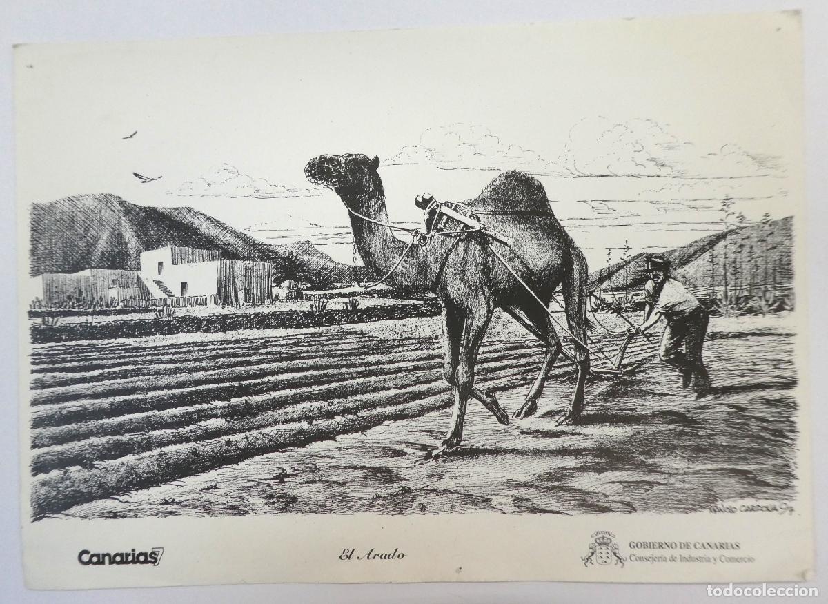 Coleccionismo: L&aacute;mina de El Arado Canarias, mide 34,5X24,5 cm