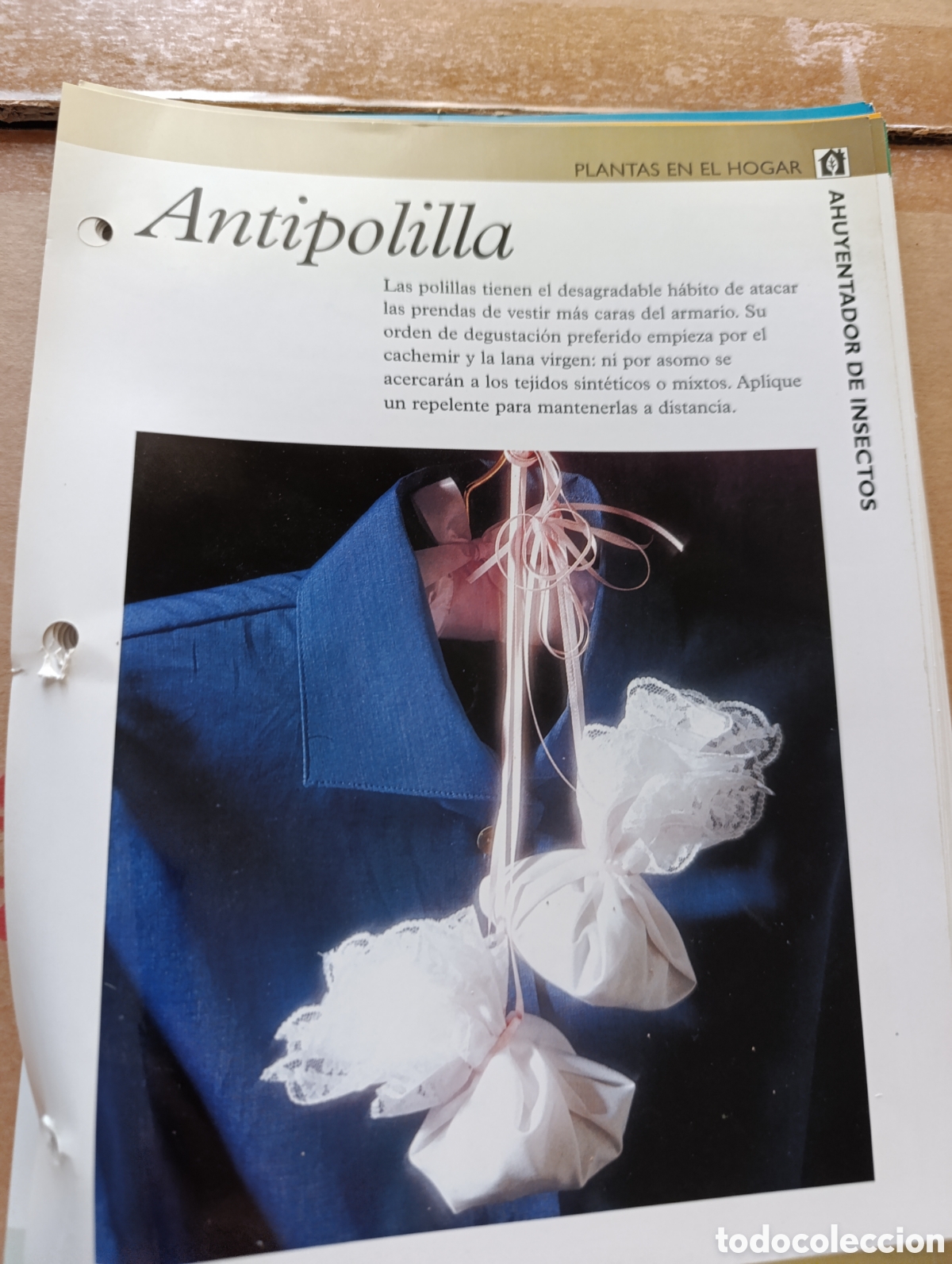 Collecting paper: L&aacute;minas sueltas sobre plantas