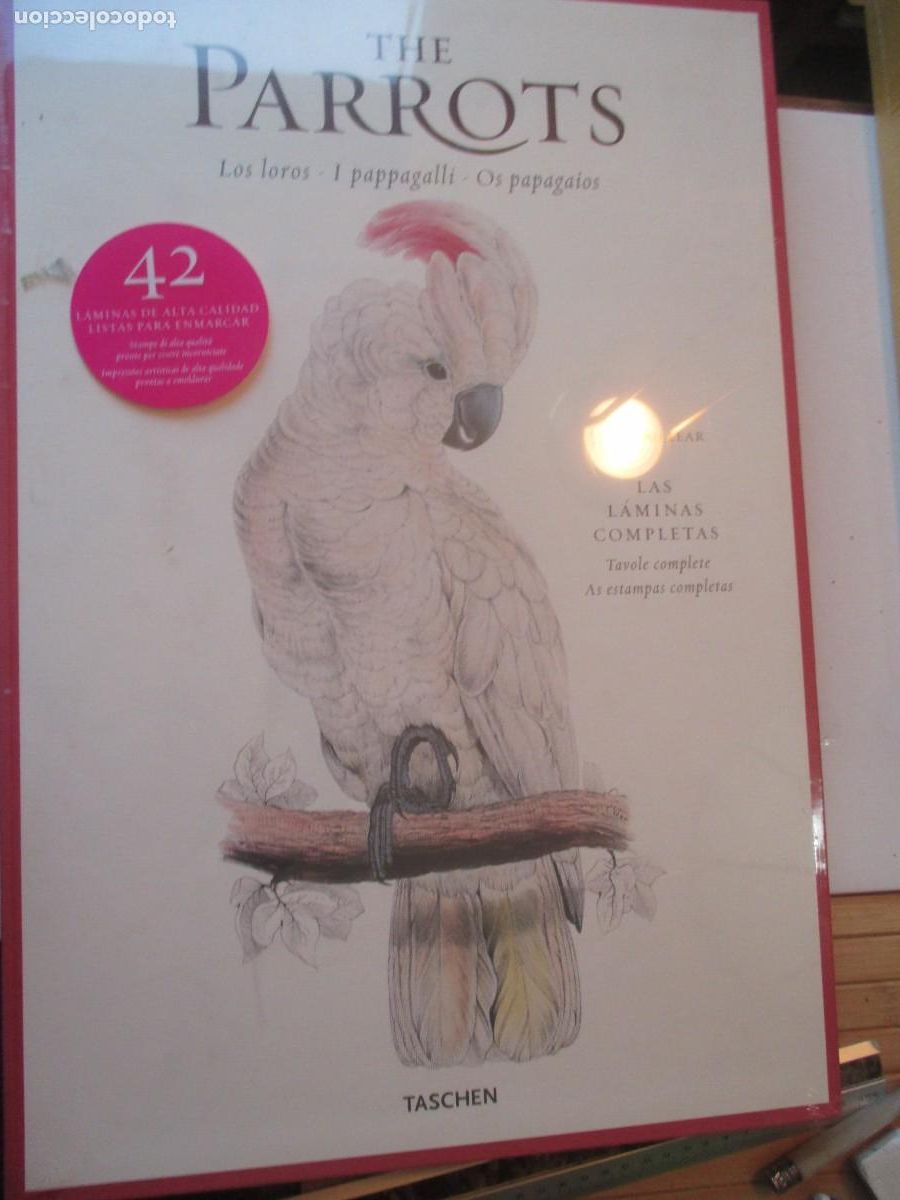 Coleccionismo: EDWARD LEAR The parrots W42310 - Foto 1