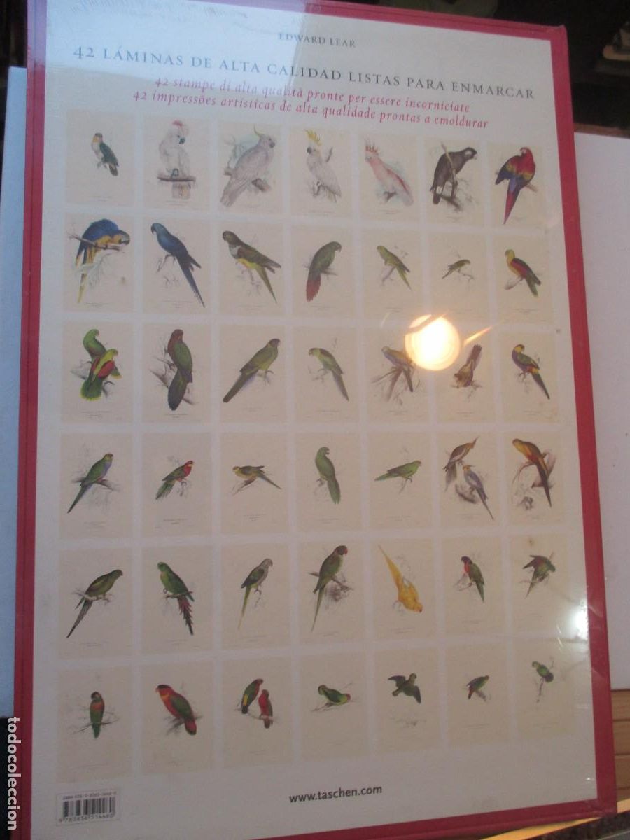 Coleccionismo: EDWARD LEAR The parrots W42310 - Foto 2