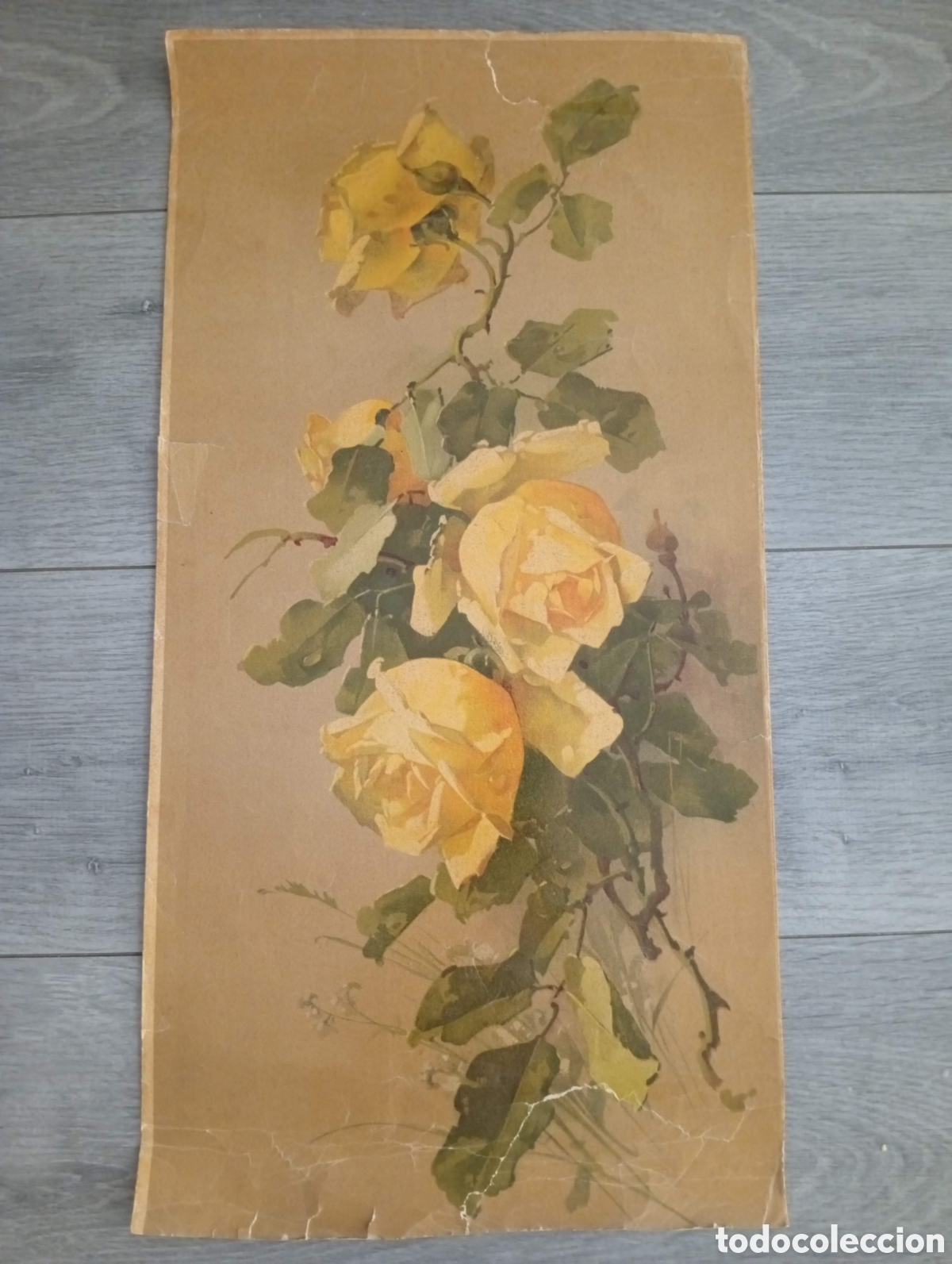 Coleccionismo: Antigua Cromolitograf&iacute;a Bot&aacute;nica Stehli Fr&egrave;res Zurich - Serie 217 N&ordm; 6 - Rosas Amarillas - a&ntilde;o 1910