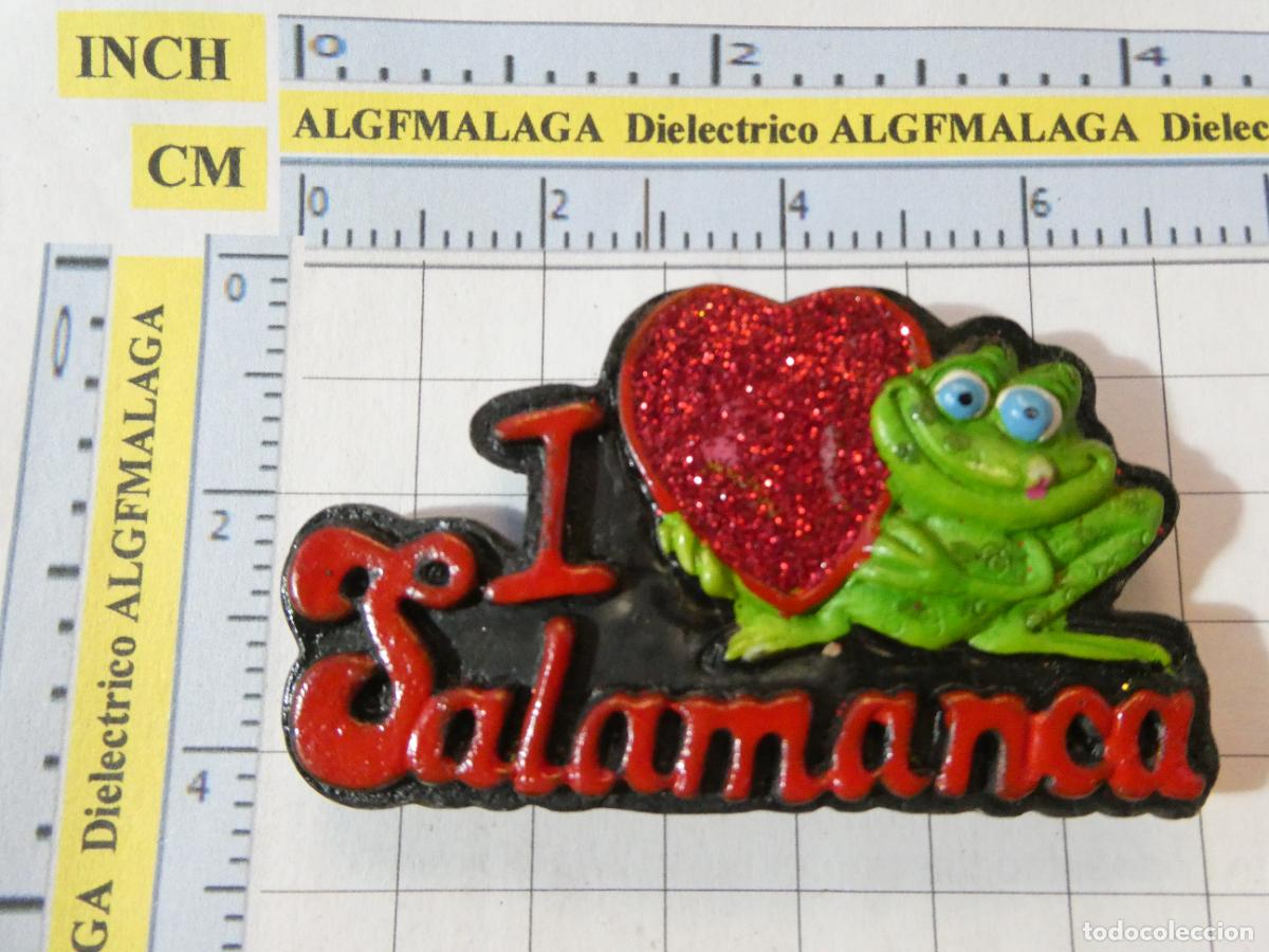 Coleccionismo: IM&Aacute;N DE NEVERA. SOUVENIR RECUERDO. SALAMANCA RANA