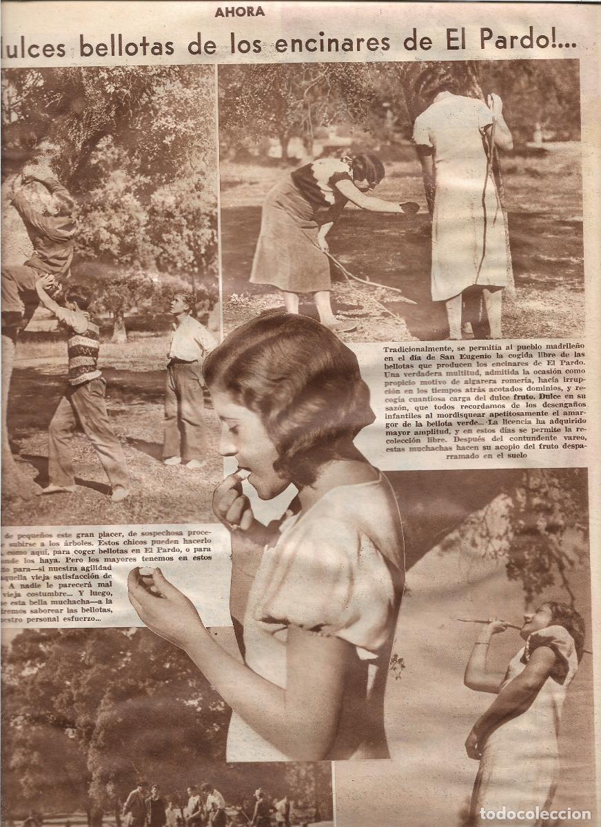 Coleccionismo: A&Ntilde;O 1933 RECORTE PRENSA LAS DULCES BELLOTAS DE LOS ENCINARES ENCINA DE EL PARDO MADRID