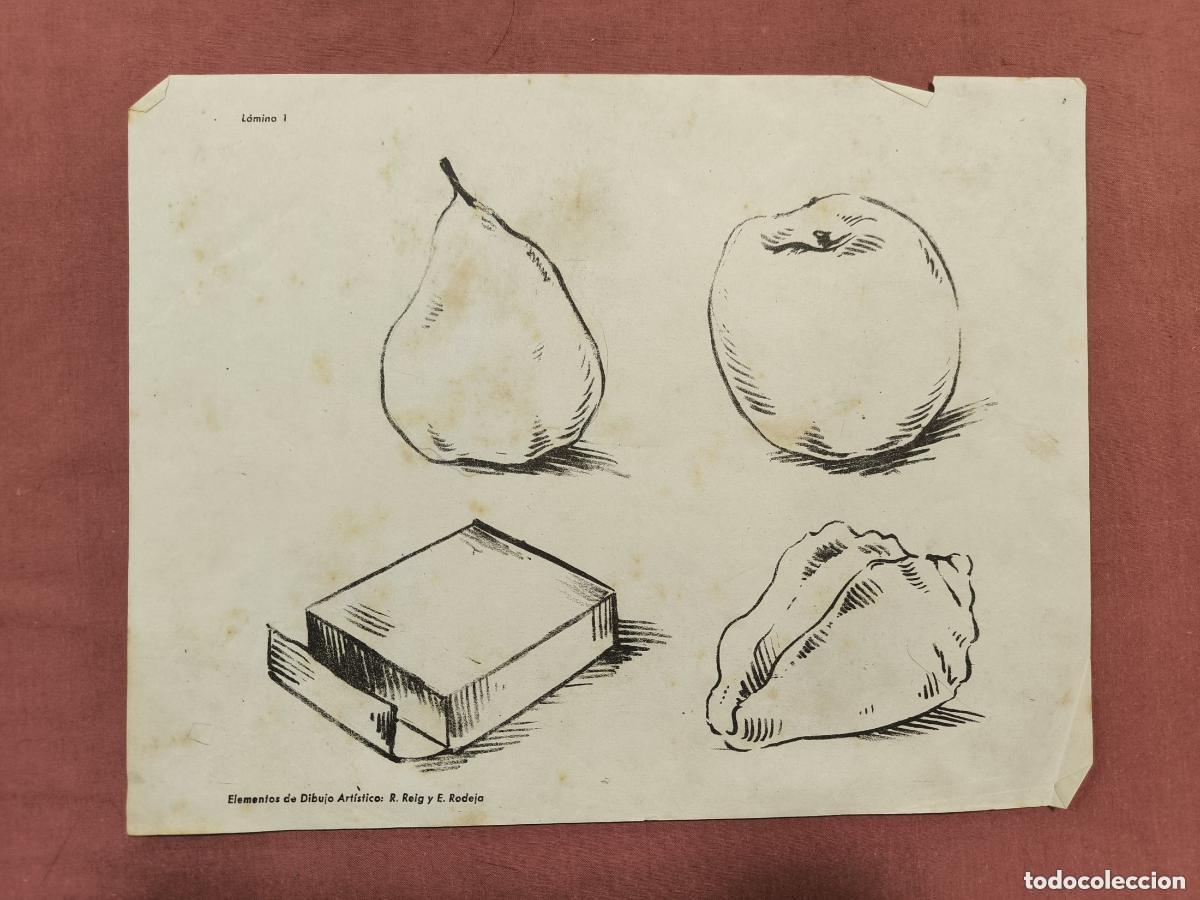Colecionismo: L&aacute;mina Dibujo Art&iacute;stico R. Reig & E. Rodeja &ndash; Pera Manzana y Caja Coleccionismo