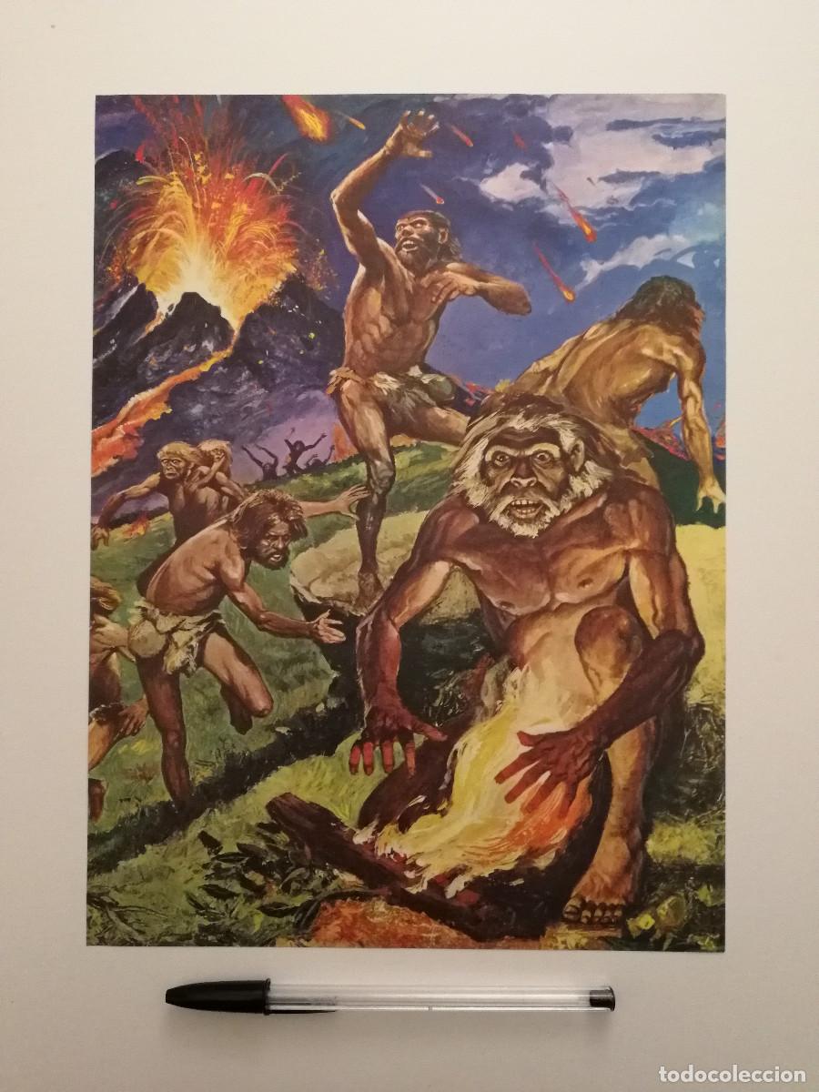 Coleccionismo: LAMINA ACARTONADA -A4- HOMBRE PREHISTORICO - ARTE - Angus McBride