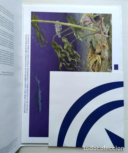 Collectionnisme: Principales especies y ecosistemas de inter&eacute;s pesquero en el litoral andaluz. Carpeta con l&aacute;minas