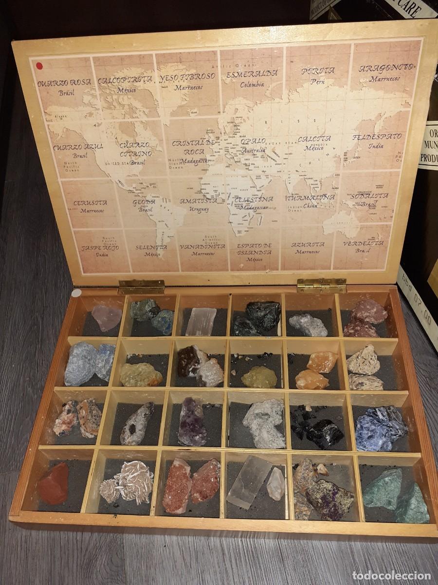 Colecionismo: COLECCI&Oacute;N MINERALES DEL MUNDO CAJA MADERA CON 24 DIFERENTES