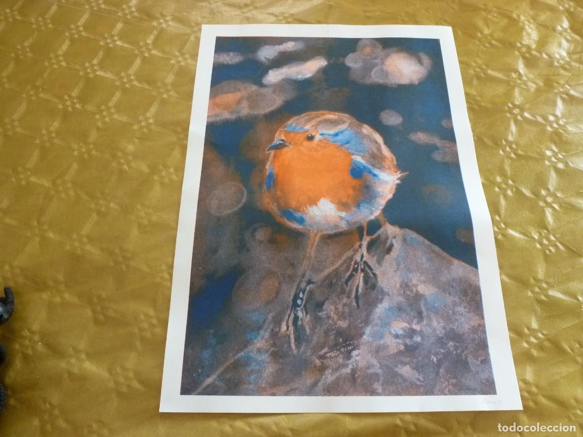 Coleccionismo: LAMINA ORIGINAL DE V.SIVERA (30 X 42) BIRD