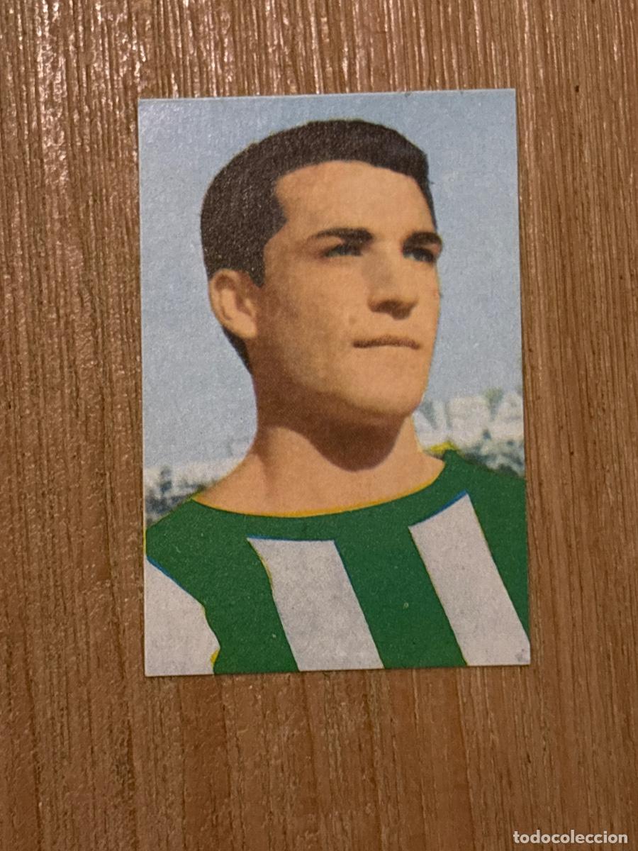 Sammeln: 44. CROMO REAL BETIS N 242 QUINO DESPEGADO EDITORIAL RUIZ ROMERO 1967-68 67-68