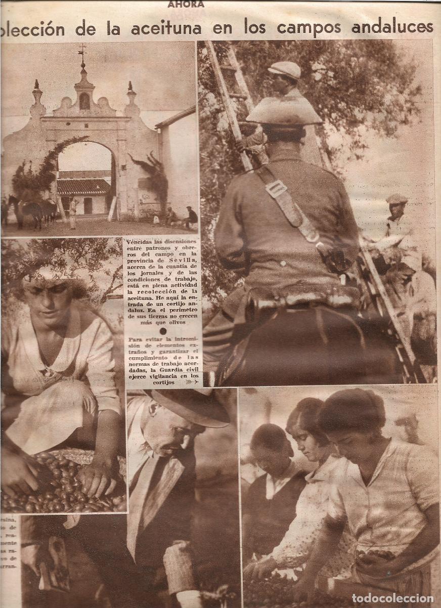 Coleccionismo: A&Ntilde;O 1933 RECORTE PRENSA CAMPO ANDALUCIA RECOLECCION DE LA ACEITUNA VIGILANCIA GUARDIA CIVIL CORTIJO