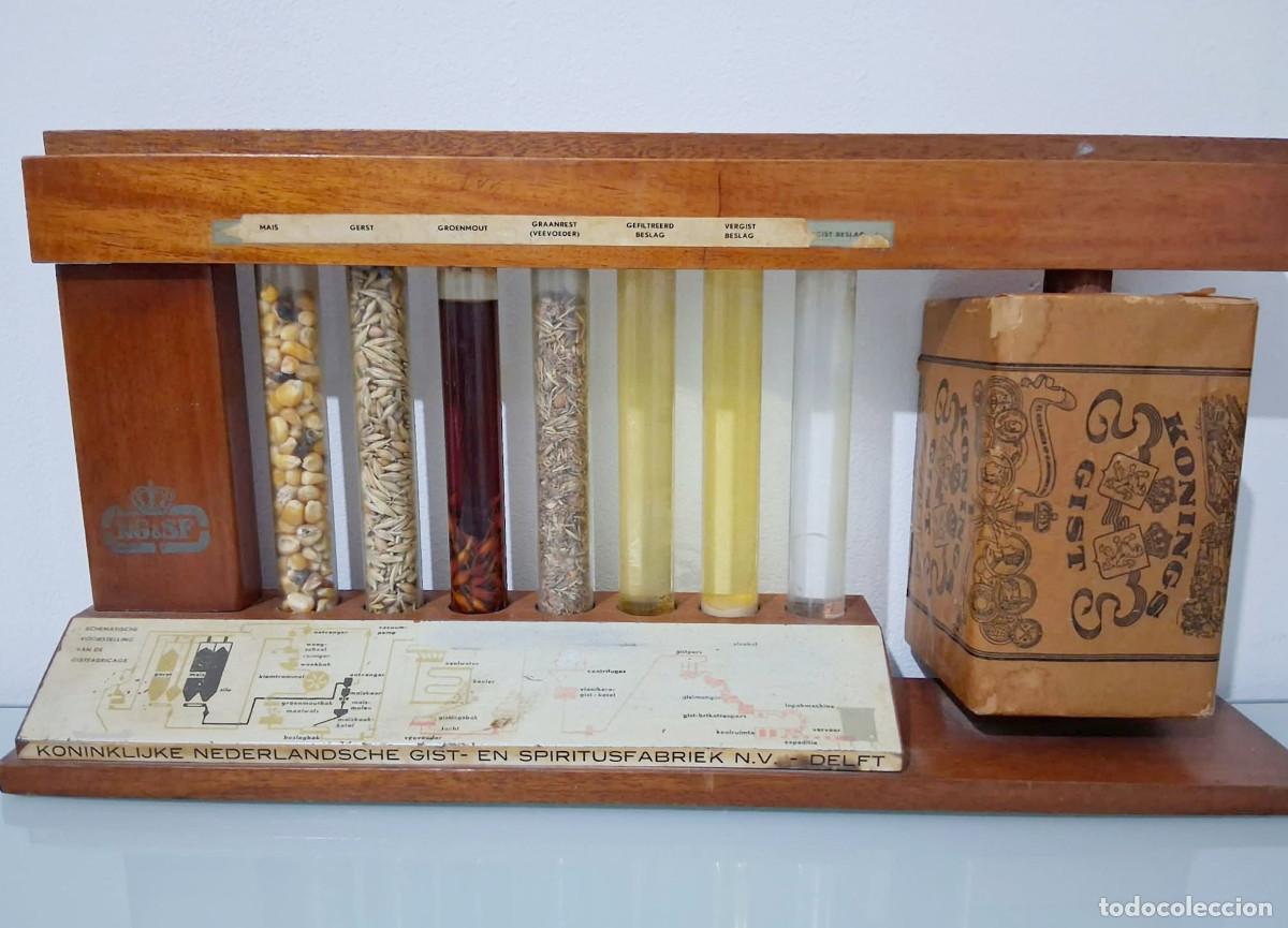 Coleccionismo: Expositor educativo de madera - F&aacute;brica de Levadura de Delft (NG&SF), a&ntilde;os 50