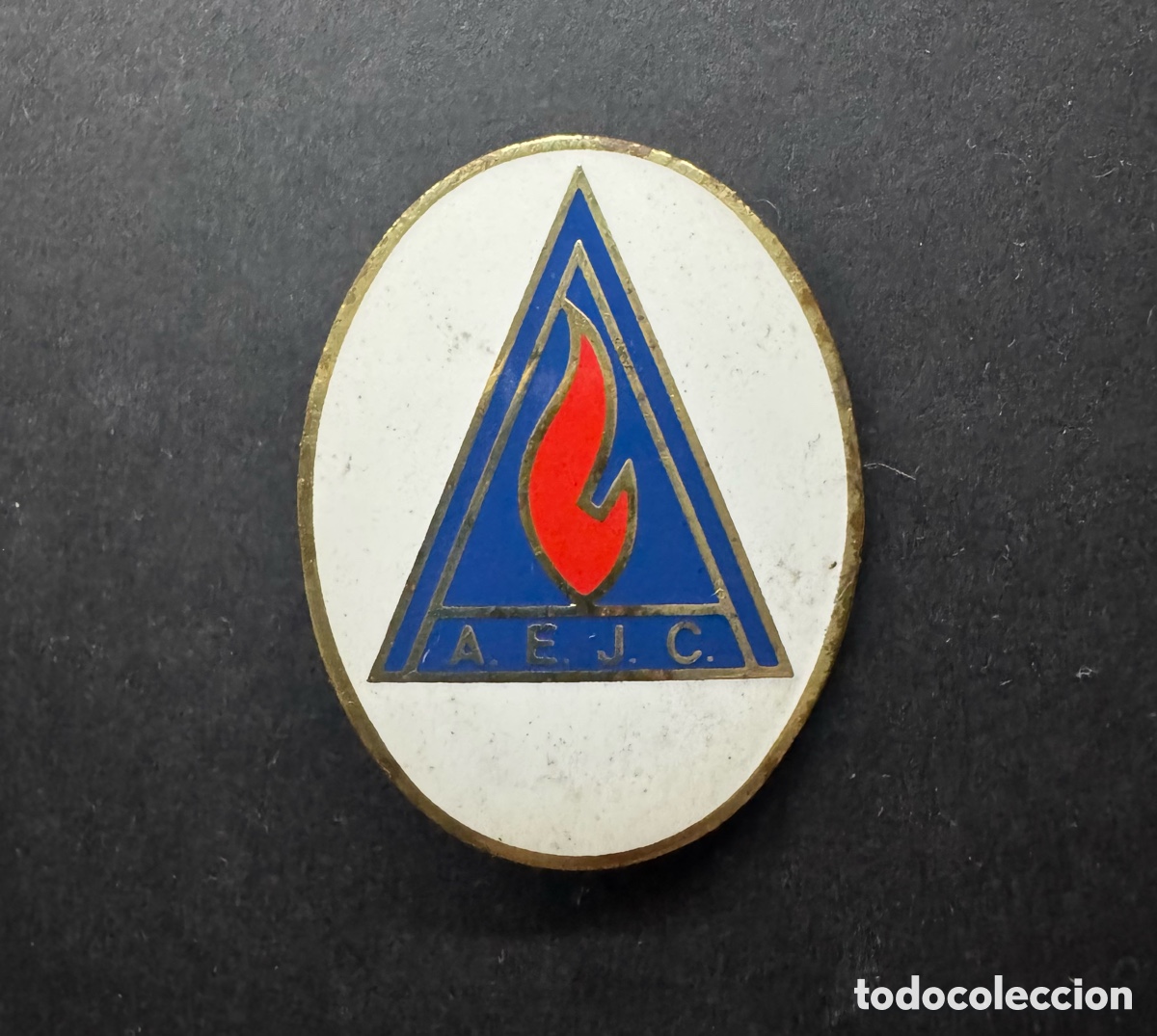 Coleccionismo: Placa de pecho A.E.J.C. - ASOCIACION ESPA&Ntilde;OLA DE JEFES DE CAMPAMENTO