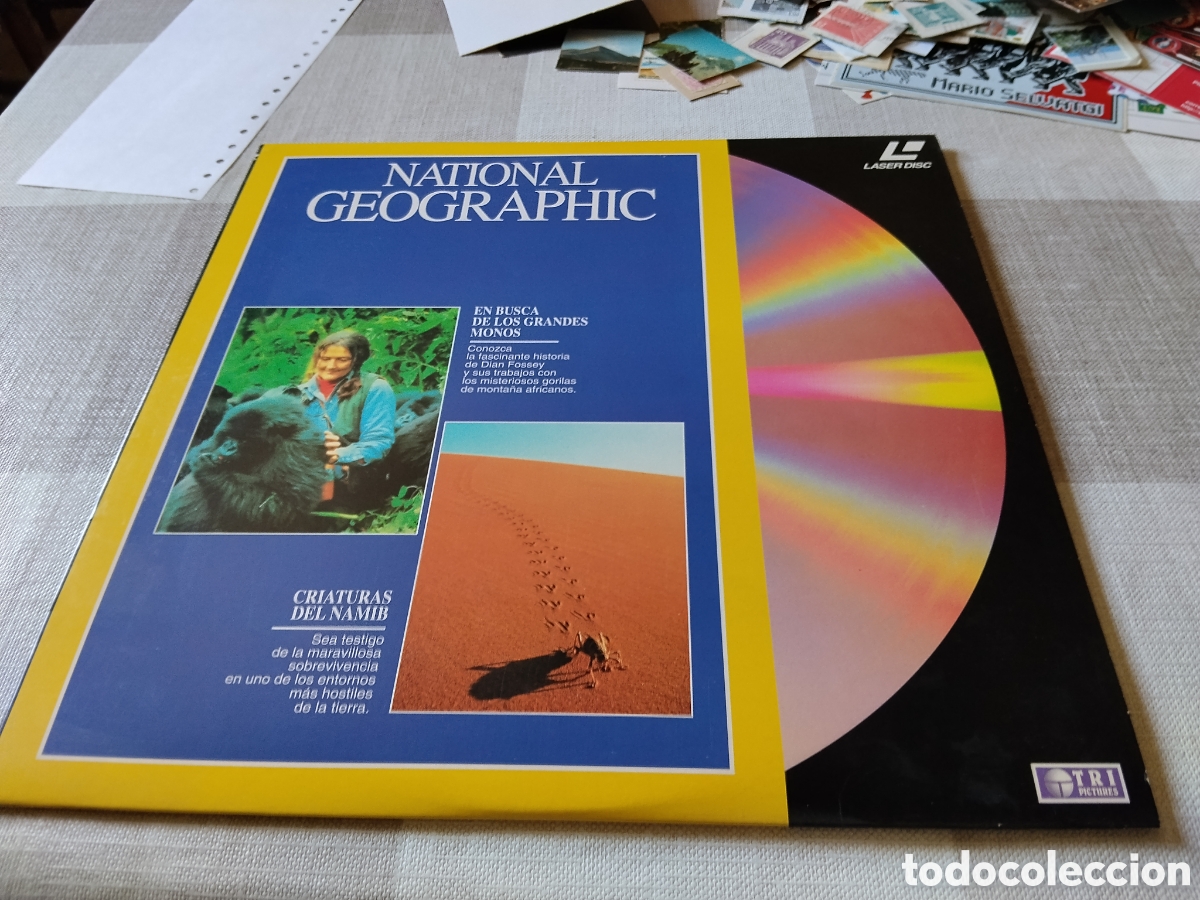 Collectionnisme: Disco laser disc National Geographic,en busca de los grandes monos, criaturas del Namib