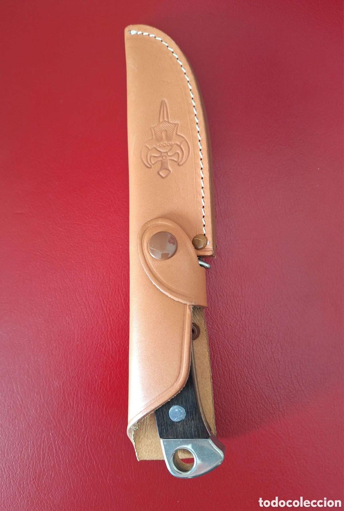 Coleccionismo: Cuchillo Marto monte o caza - Foto 8