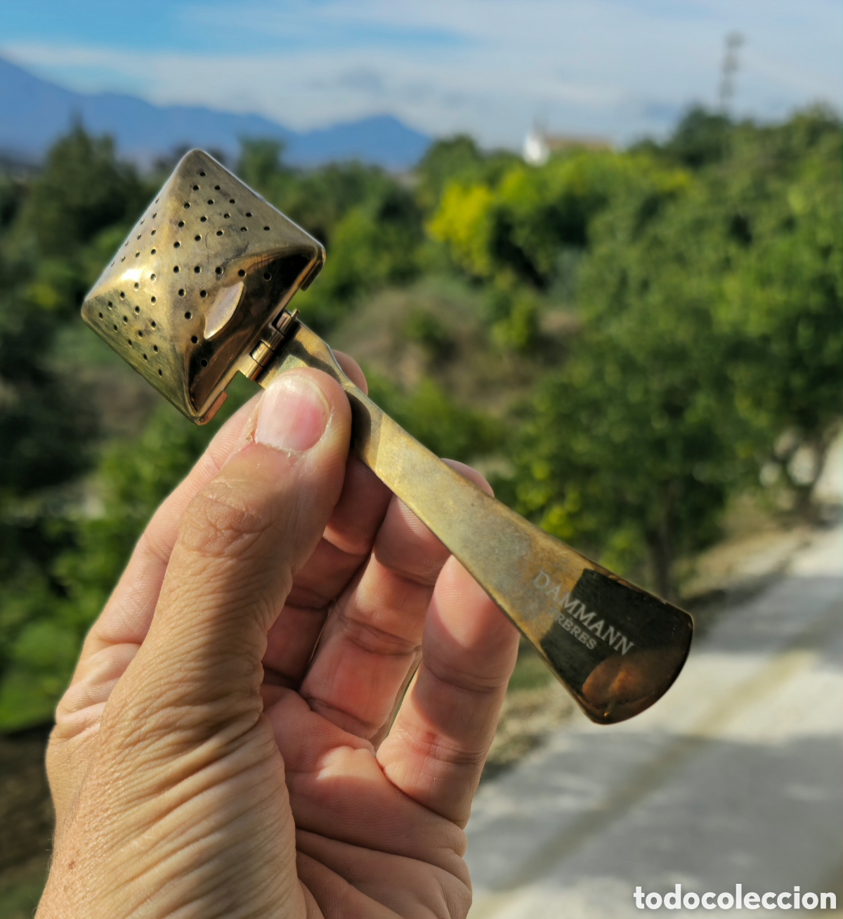 Coleccionismo: Infusor de t&eacute; vintage