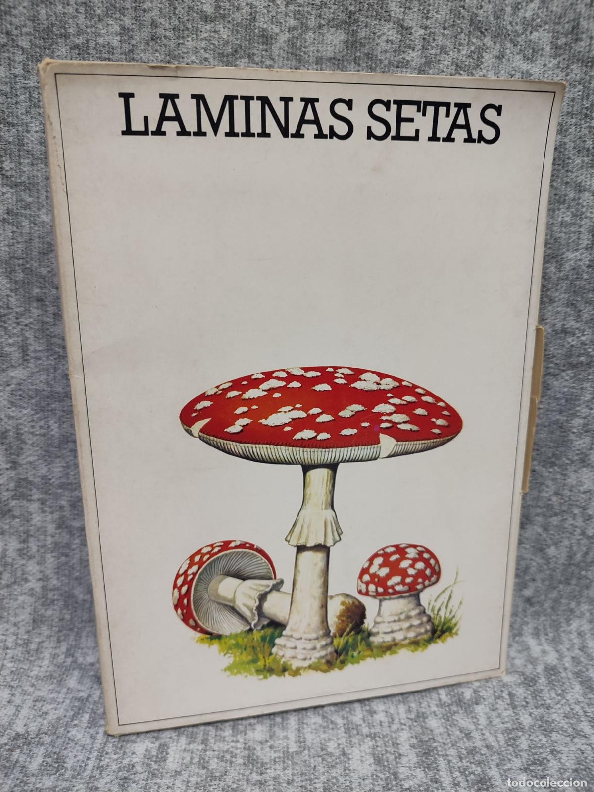 Collecting paper: LAMINAS DE SETAS. LAB. AMYFAR. LTE 50 LAMINAS + PRESENTACION + ESTUCHE