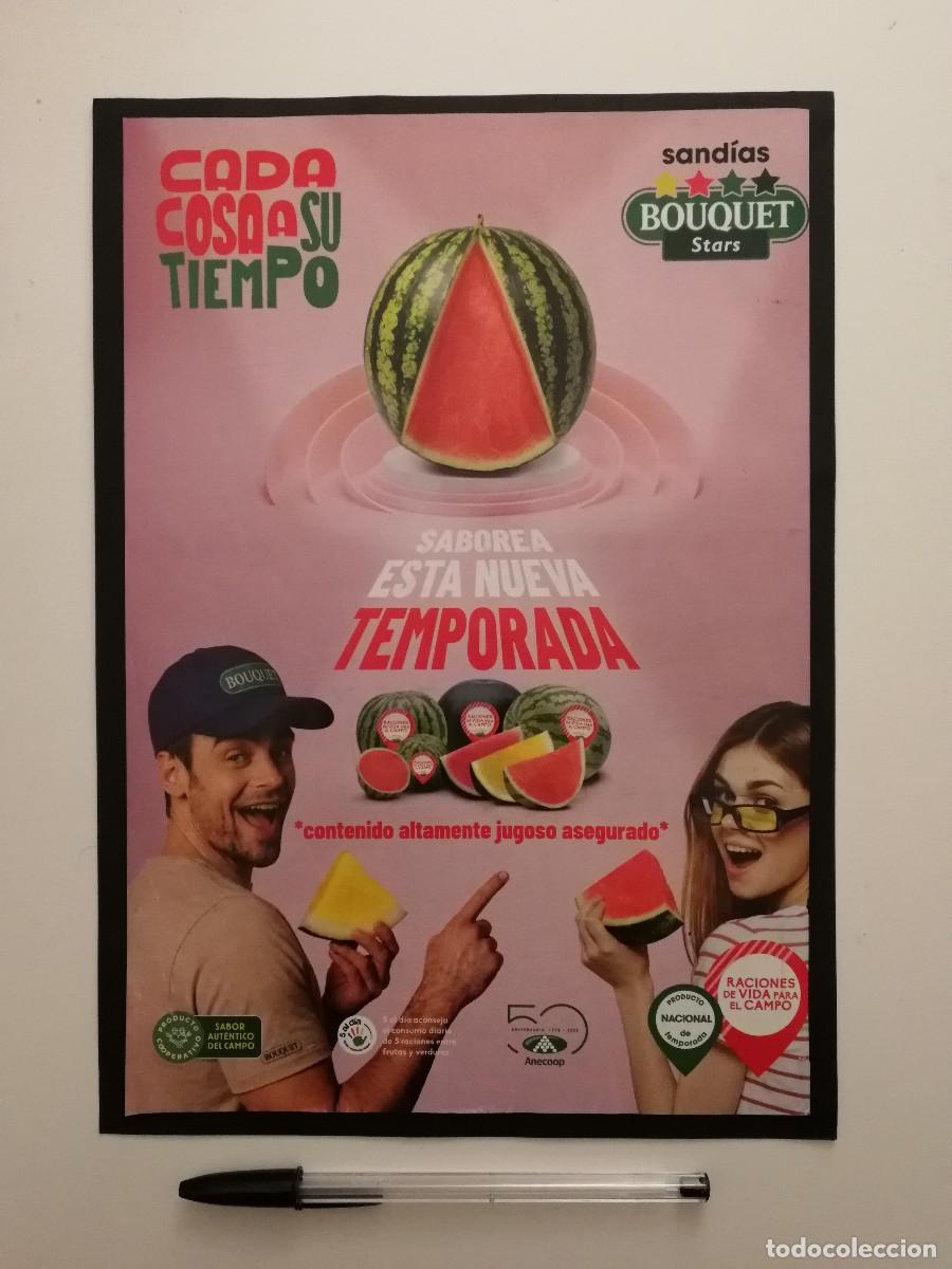 Coleccionismo: ANUNCIO ACARTONADO -A4- SANDIAS BOUQUET STARS - PUBLICIDAD LAMINA