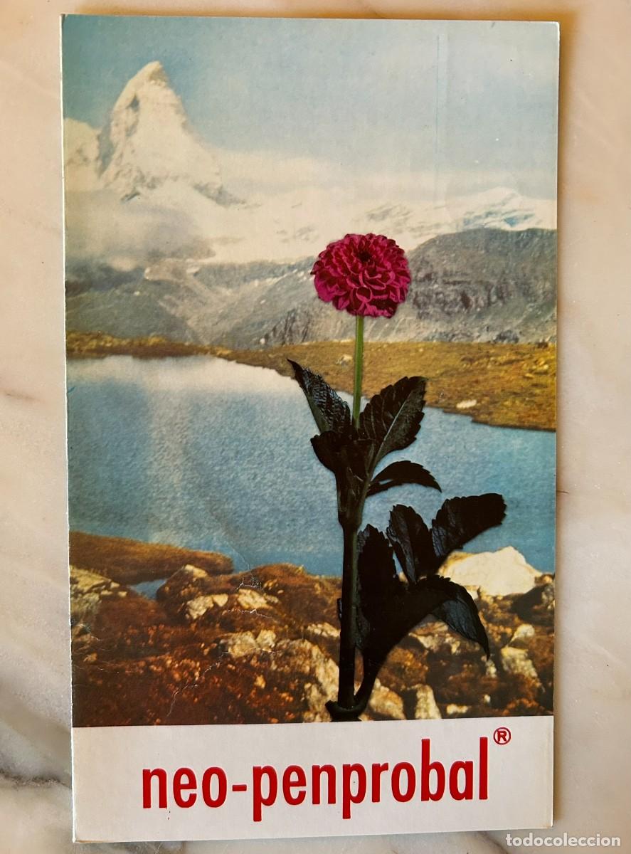 Coleccionismo: FLOR DE DALIA POMPON CON FONDO IMAGEN ALPINA CERVINO - L&Aacute;MINA PUBLICITARIA NEO-PENPROBAL MADE 1975