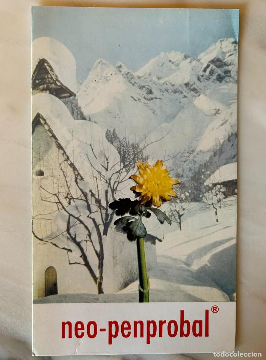 Coleccionismo: FLOR KERRIA JAPONICA CON FONDO DE IMAGEN ALPINA - L&Aacute;MINA PUBLICITARIA NEO-PENPROBAL MADE 1975