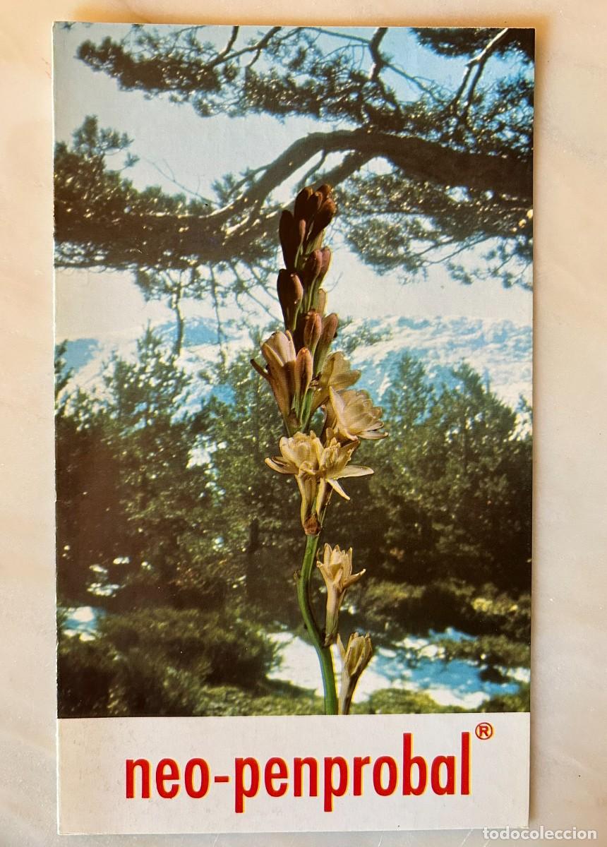Coleccionismo: NARDO POLIANTHES TUBEROSA CON FONDO DE IMAGEN ALPINA - L&Aacute;MINA PUBLICITARIA NEO-PENPROBAL MADE 1975